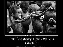 Fot. pwyso, ... czas na chwilę zadumy ...