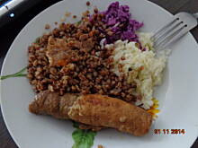 Fot. agapornis, Roladki-zrazy schabowe we własnym sosie