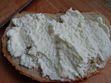 Fot. agapornis, Twaróg domowy naturalny pyszny i zdrowy