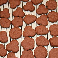 Ciasteczka Korzenne ze Szprycy