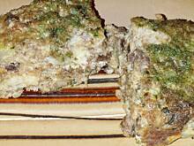 Fot. ekkore, Zapiekanka mięsno-chlebowa czyli stuffing z East Carolina