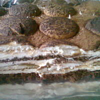 Placek Latte Macchiato