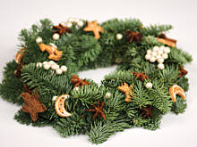 Fot. Wkn, Które z iglaków najlepiej nadają się na choinki i stroiki świąteczne?