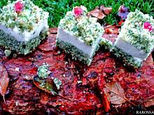 Fot. RAROSSA, Leśny mech