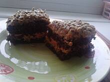 Fot. anika1230, Tafla słonecznikowa