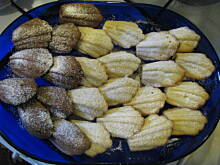 Fot. doalda, Magdalenki