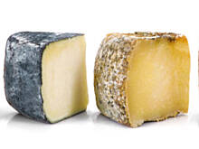 Fot. Pampas, Przewodnik po serowych krainach