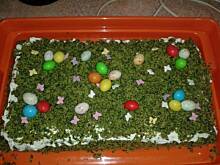 Fot. Elizabeth1982, leśny mech