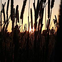 Wschody i zachody słońca i księżyca 