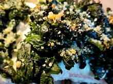 Fot. ekkore, Łosoś pod pierzynką z sera ricotta i szpinaku