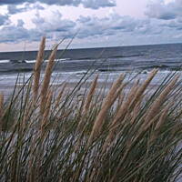 Jesień nad Bałykiem 