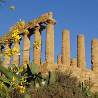 Dolina Świątyń w Agrigento