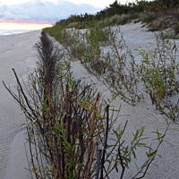 Jesień nad Bałykiem 