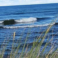Jesień nad Bałykiem 