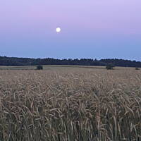 Wschody i zachody słońca i księżyca 