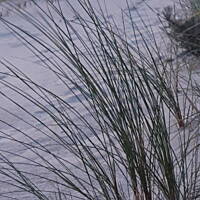 Jesień nad Bałykiem 