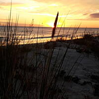 Jesień nad Bałykiem 