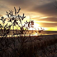 Jesień nad Bałykiem 