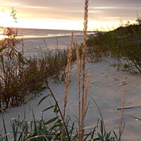 Jesień nad Bałykiem 