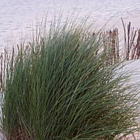 Jesień nad Bałykiem 