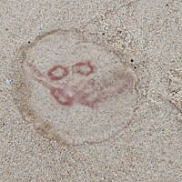 Jesień nad Bałykiem 