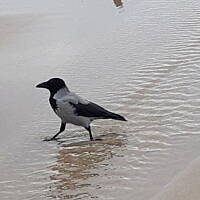 Jesień nad Bałykiem 