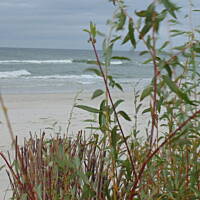 Jesień nad Bałykiem 