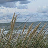 Jesień nad Bałykiem 