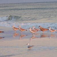 Jesień nad Bałykiem 