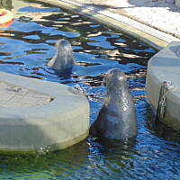 Jesień nad Bałykiem 