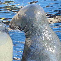 Jesień nad Bałykiem 