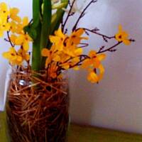 WIELKANOCNE DEKORACJE DIY