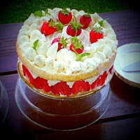 FRAISIER - TORT TRUSKAWKOWY