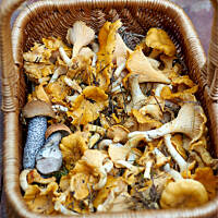 Sos kurkowy z kurakiem