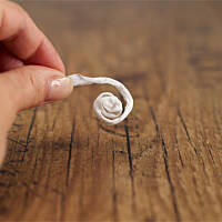 Choineczka ślimaczkowa