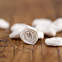 Choineczka ślimaczkowa