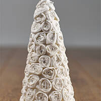 Choineczka ślimaczkowa