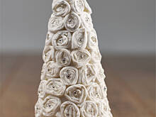 Fot. Wkn, Choineczka ślimaczkowa