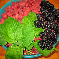 Sok malinowo-jeżynowy