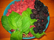 Fot. Manga2185, Sok malinowo-jeżynowy