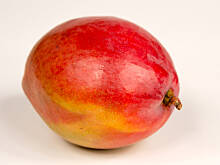 Fot. Wkn, Mango - owoc bogów