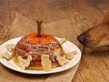 Fot. Wkn, Tort dla pupila