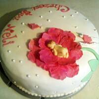 torty , torciki i inne słodkości