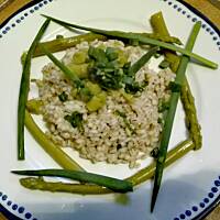 Kasza pęczak z parmezanem