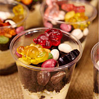 Dinozaury w błocie i kamieniach