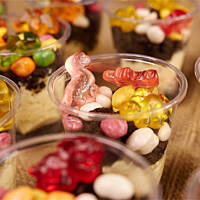 Dinozaury w błocie i kamieniach