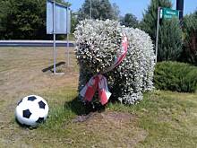 Fot. mlena, Aranżacje kwiatowe