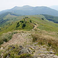 Bieszczady i Podlasie czyli lato 2015