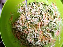 Fot. mania233, Surówka colesław z przepisu magdalenka_012