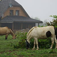 Bieszczady i Podlasie czyli lato 2015
